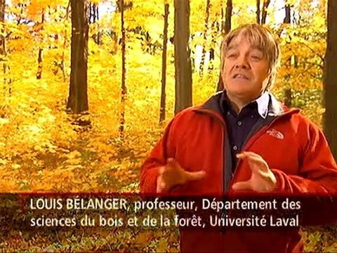 Téléjournal - Aires protégées