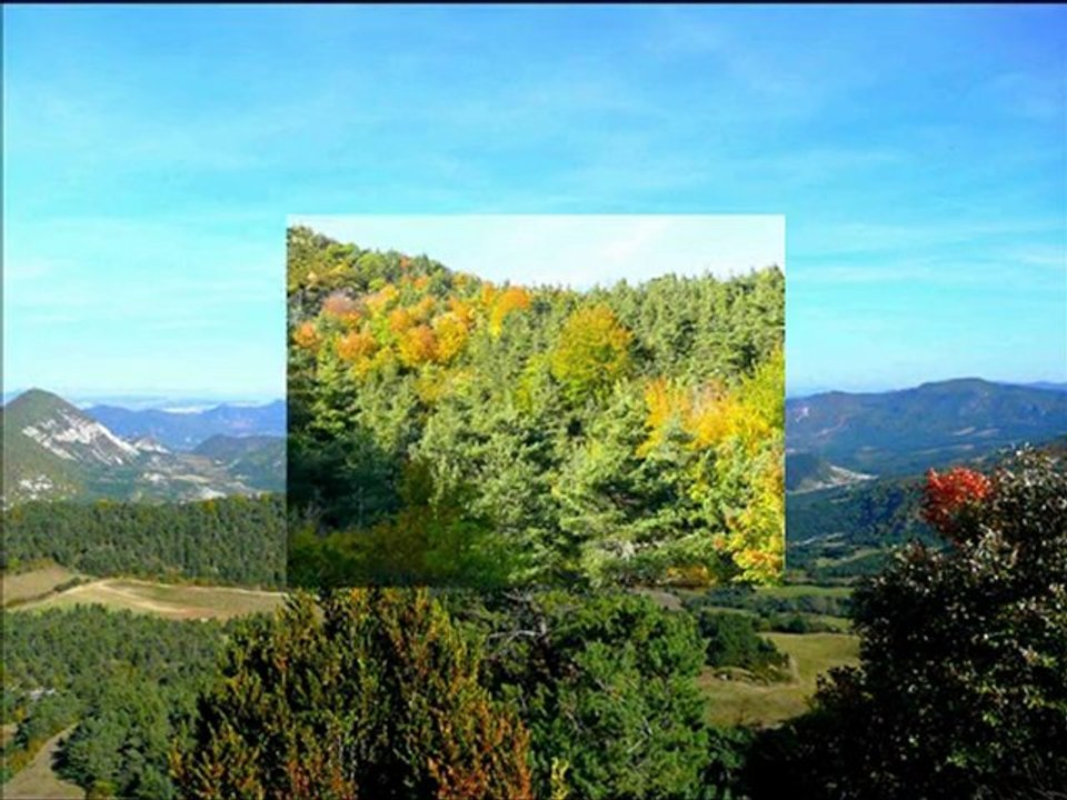 L'AUTOMNE entre NYONS et le col de PERTY -2011- RIB