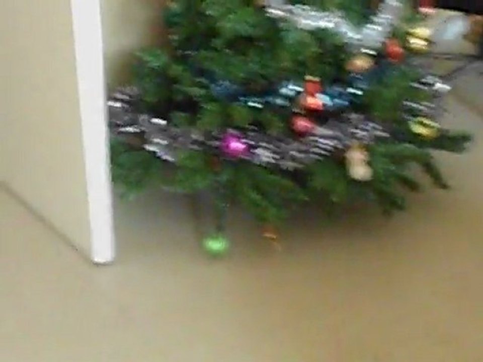 arrivee de ginger et rencontre avec guiniol et shanel