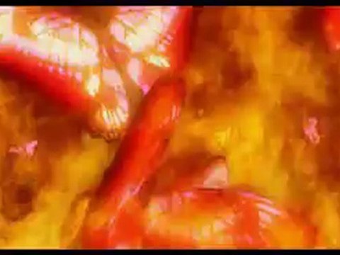 Kessen III (PS2) - Trailer promotionnel du jeu.