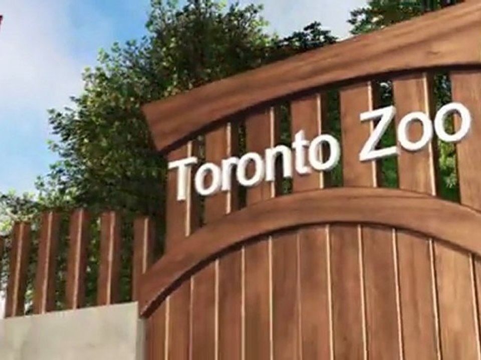 Gay penguins Buddy and Pedro to be separated by Toronto Zoo
