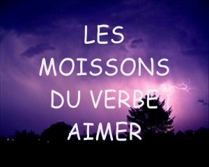 LES MOISSONS DU VERBE AIMER