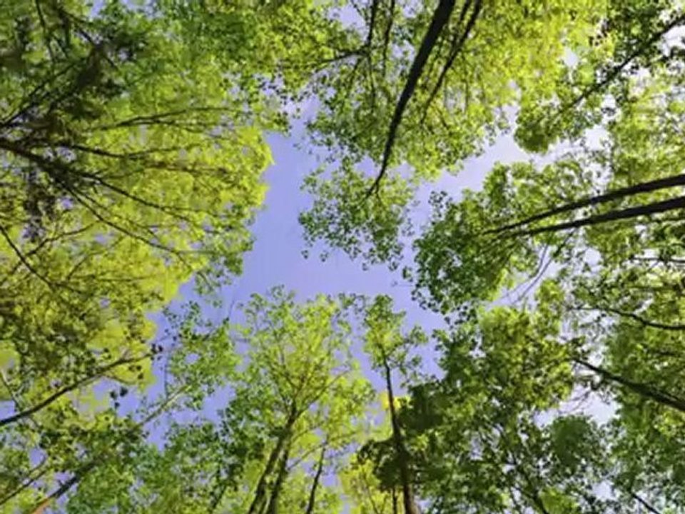 Christian Praise Worship Songs Lyrics (in Descrip) - Those Who Wait on the Lord (Isaiah 40:25-31)