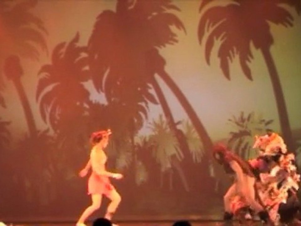 spectacle "IL FAUT SAUVER L'AMAZONIE  2011" DE KATTO RIBEIRO