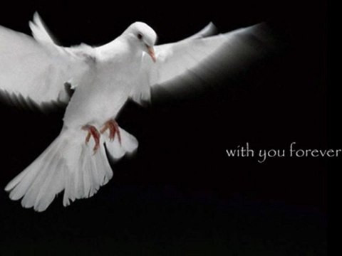 Christian Praise Worship Songs with Lyrics - I Will Not Leave You Orphans (John 14/Scripture Song)