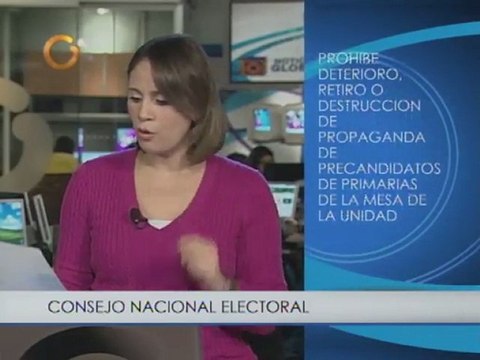 CNE prohíbe destrucción de propaganda de las primarias