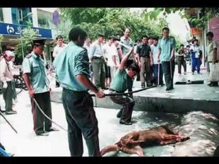 Kürkünüzden Arda Kalan