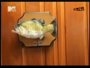 Anúncio MTV Karaoke Box com BOMT