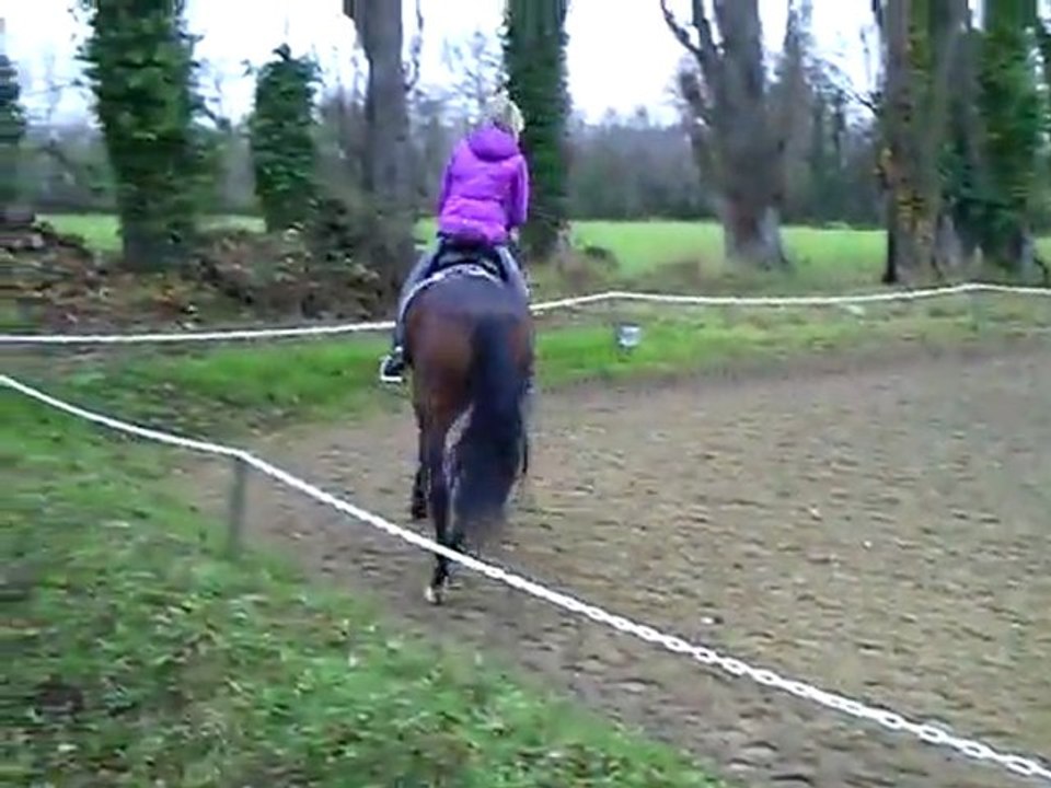 CLIP0006