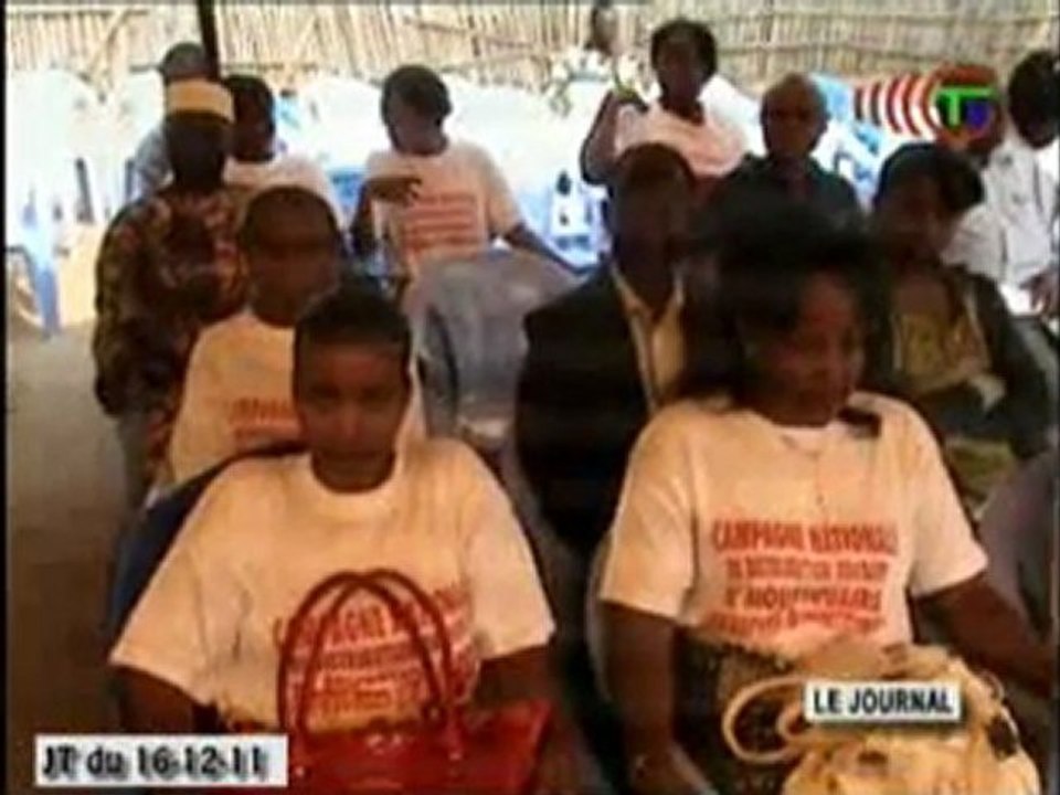 La campagne massive de distribution de moustiquaires imprégnées