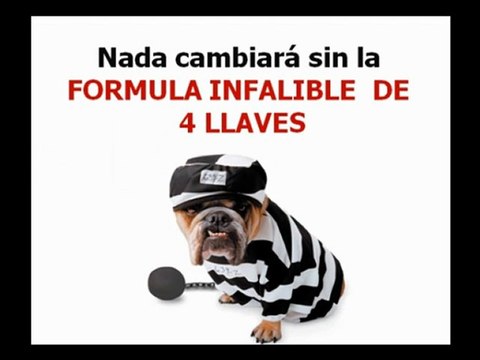 Educar un Perro Cachorro. Mini Curso Gratis