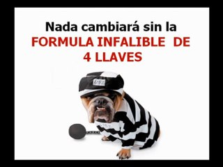 Educar un Perro Cachorro. Mini Curso Gratis