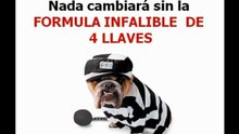 Educar un Perro Cachorro. Mini Curso Gratis