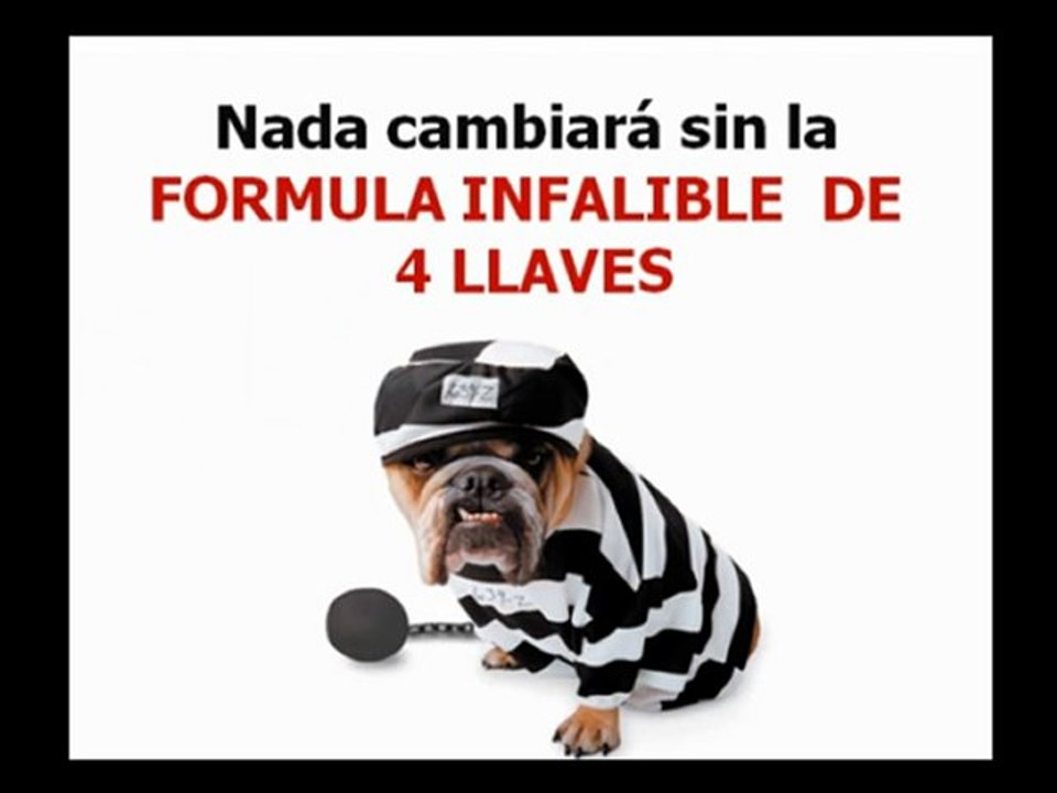 Educar un Perro Cachorro. Mini Curso Gratis