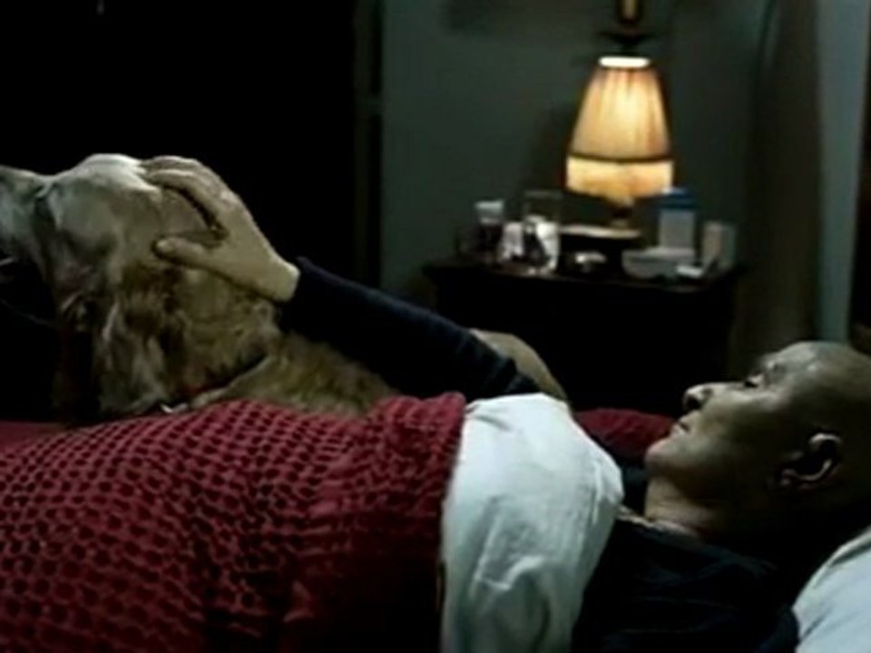 Türkan Sinema Filmi2011-Oyuncu Köpek Dost 3.Kısım