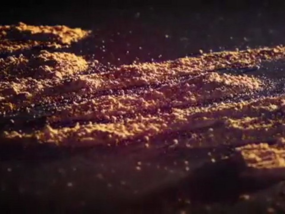 The Animalier Collection - Dolce & Gabbana Make Up