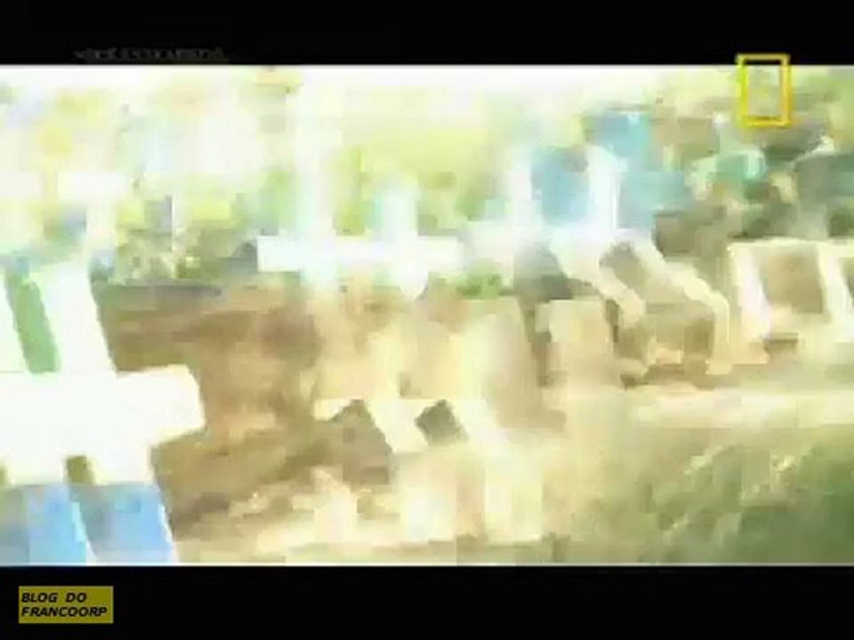 Profecias: Prelúdio dos Maias.