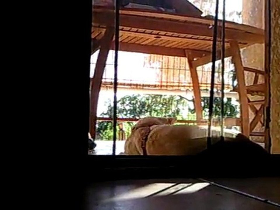 Vidéo0028