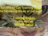 cat online training - cat training book - cat health problems