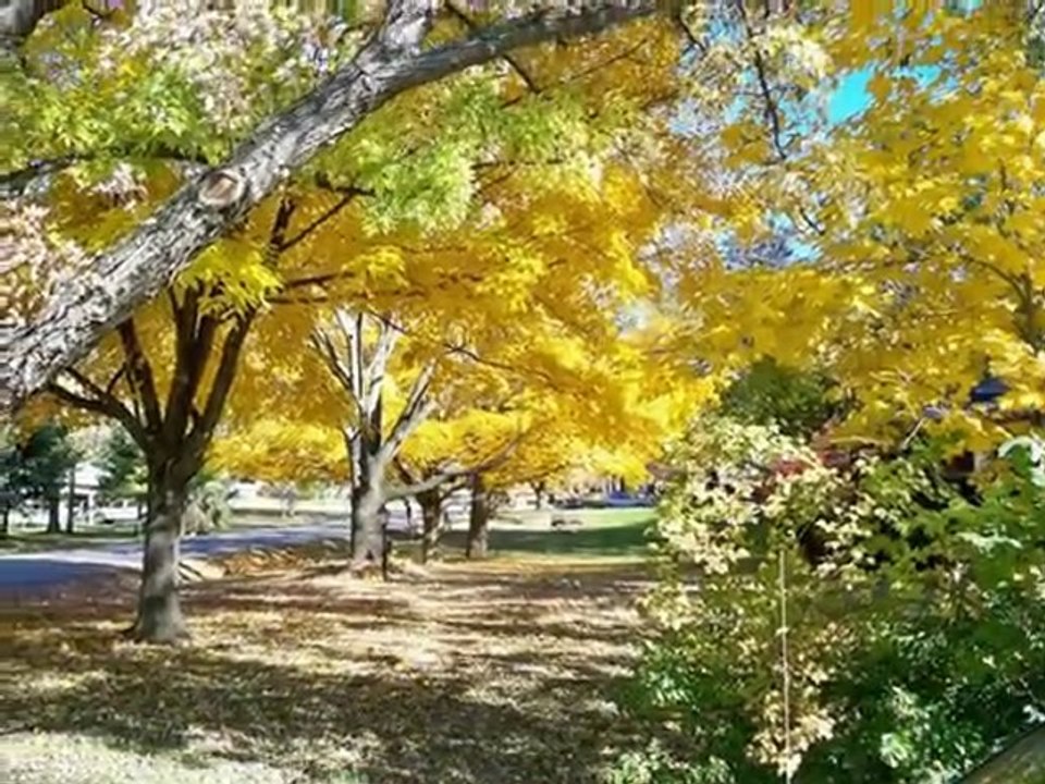 ŞİKİ ŞİKİ BABA  DURMUŞ ÇİGDEM