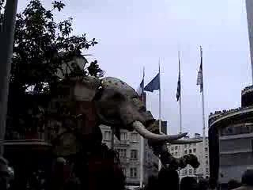 Elephant de Royal de luxe