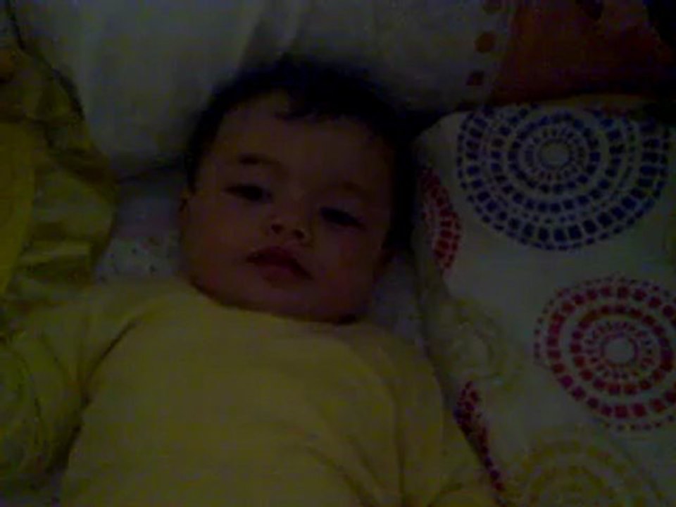 28082010083
