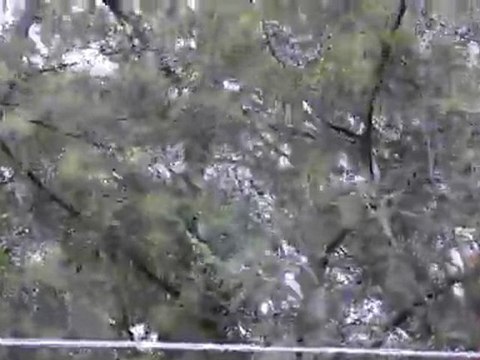 Tempête Joachim Cap Ferret décembre 2011