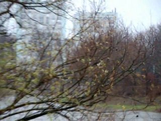 Nancy, tempête hivernale du 16 Décembre 2011 (baptisée Joachim)