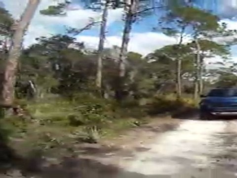 Ford SVT Raptor off road driving scenes