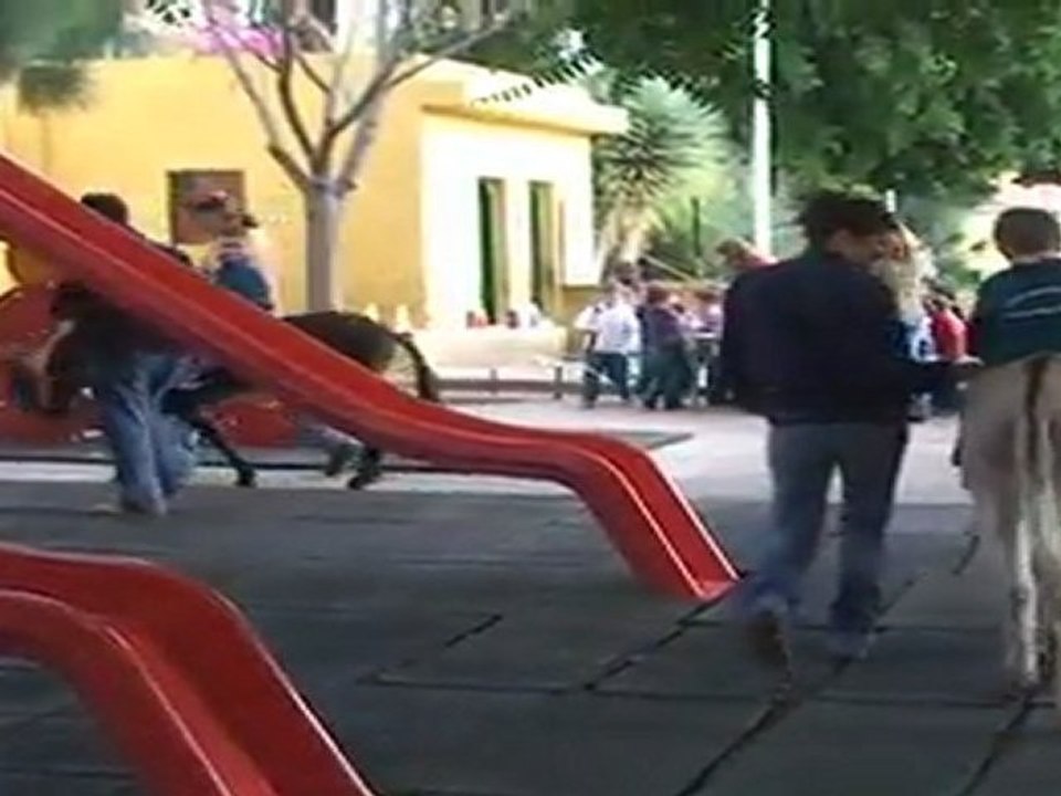 Los burros, unos buenos amigos en los patios de colegios.