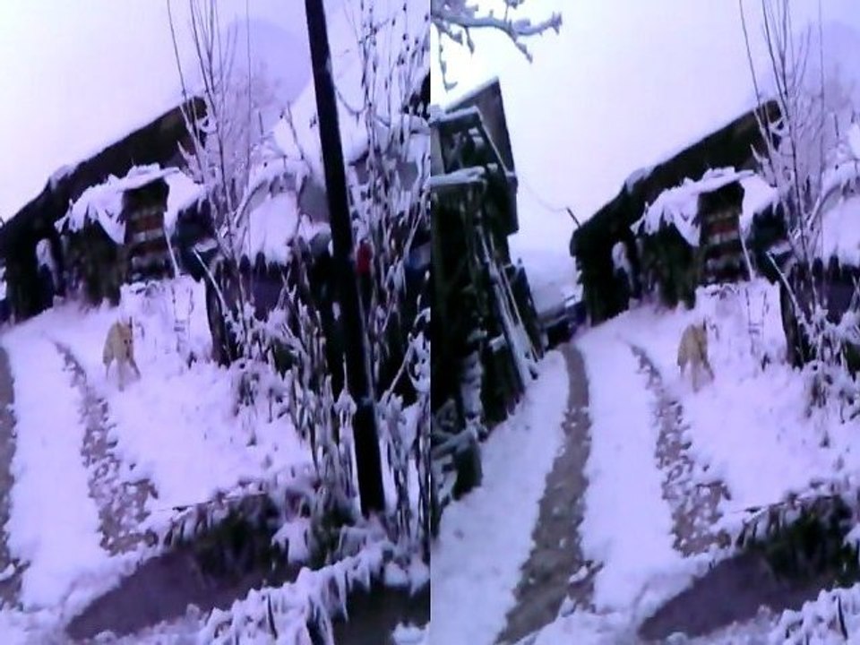 Ca y est il neige aux pressouds