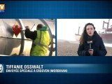Cargo échoué : reprise des opérations de dépollution