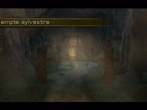Zelda : Twilight Princess - Wii - 06/Temple Sylvestre