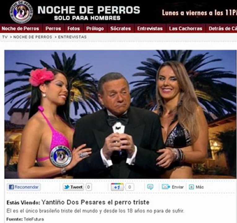 Yantiño Dos Pesares el perro triste - noche de perros - Orlando Urdaneta