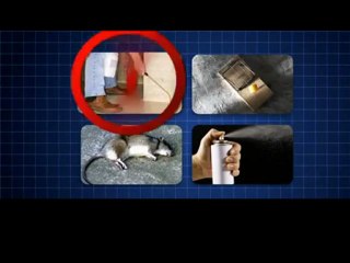 Fare Kovucu Sistemler