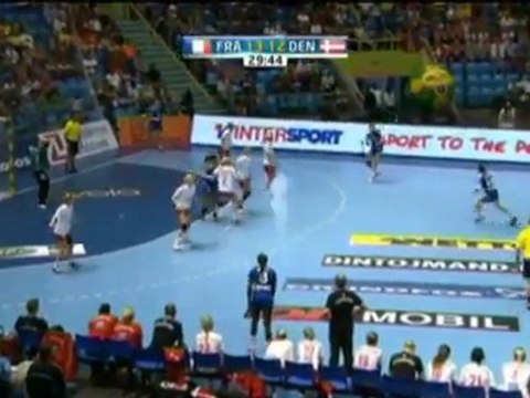 Handball-WM - Frankreich im Finale