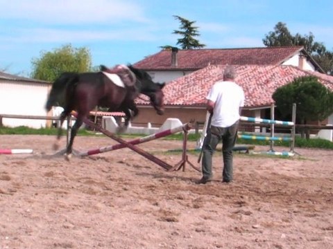 la longe pour l'obstacle