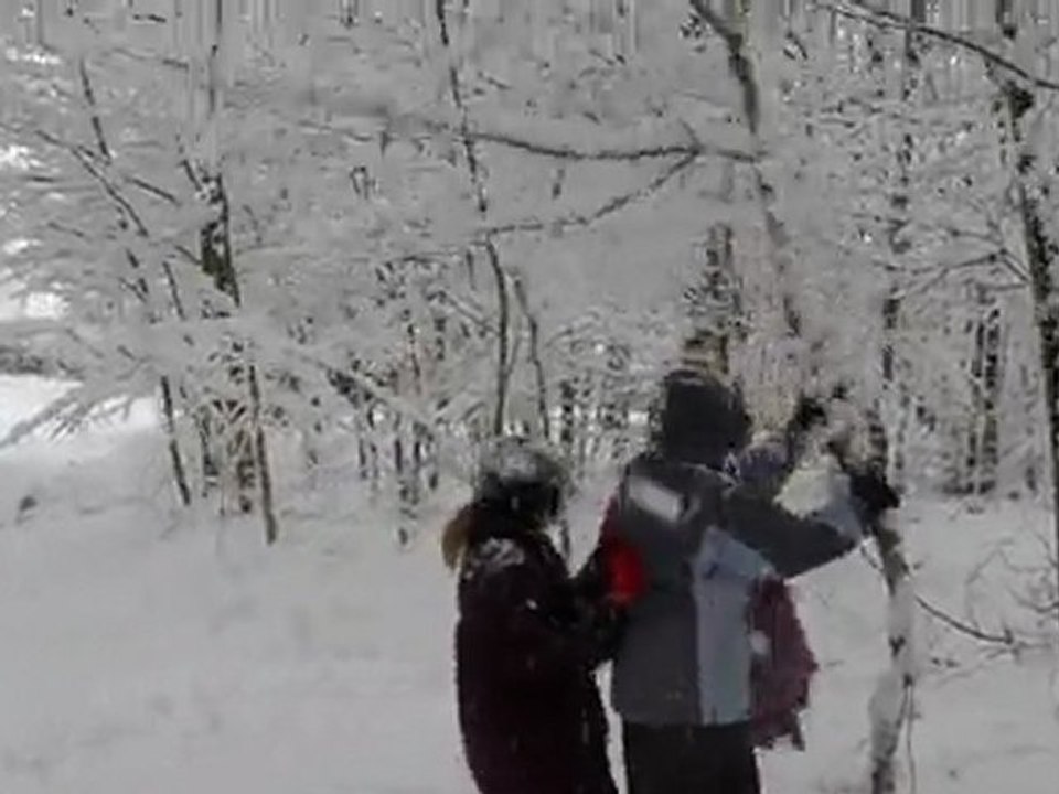 Tombe la neige