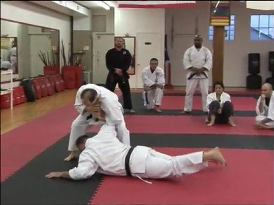 Bujutsu-Kai Workshop 2009 Highlights