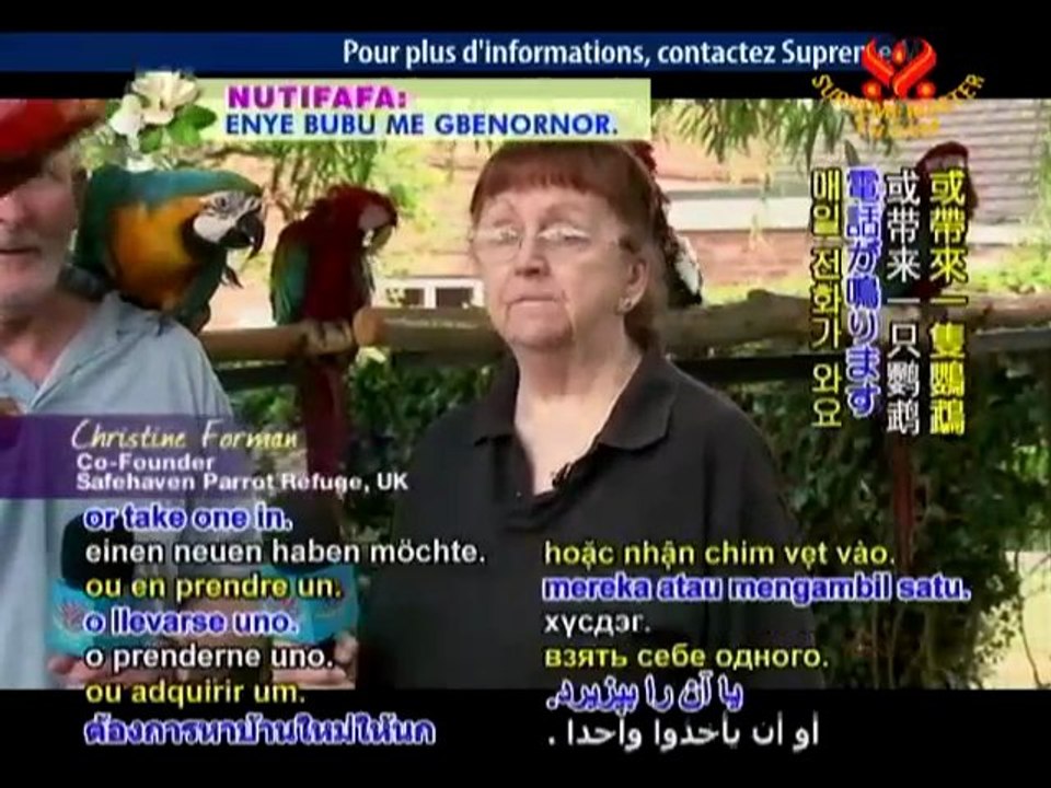 25 Years of Love: Britain's Safehaven Parrot Refuge - P2/2