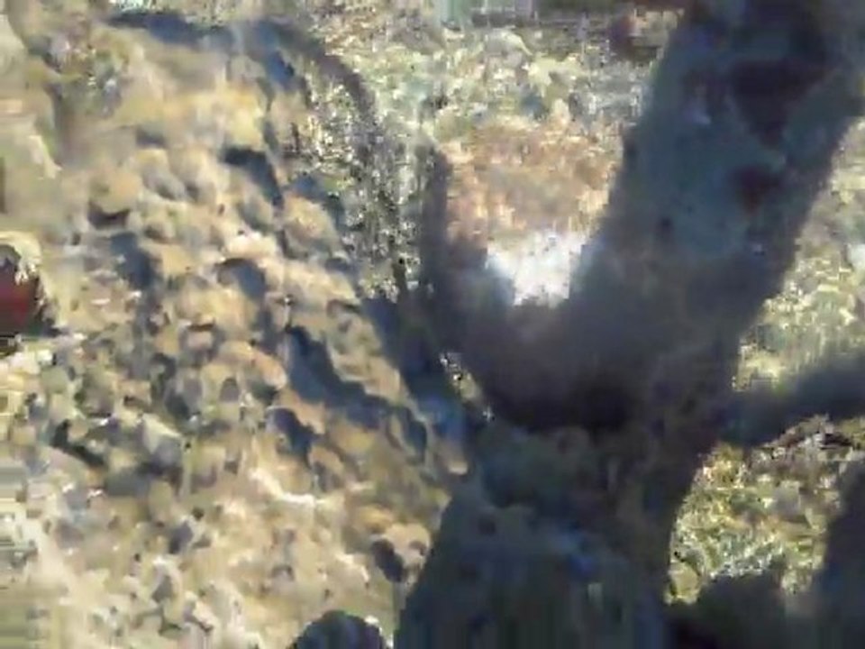 Espejos de agua