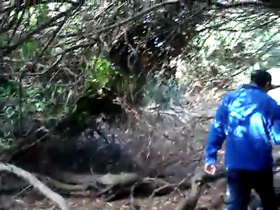 No te metas ahi! (P2)