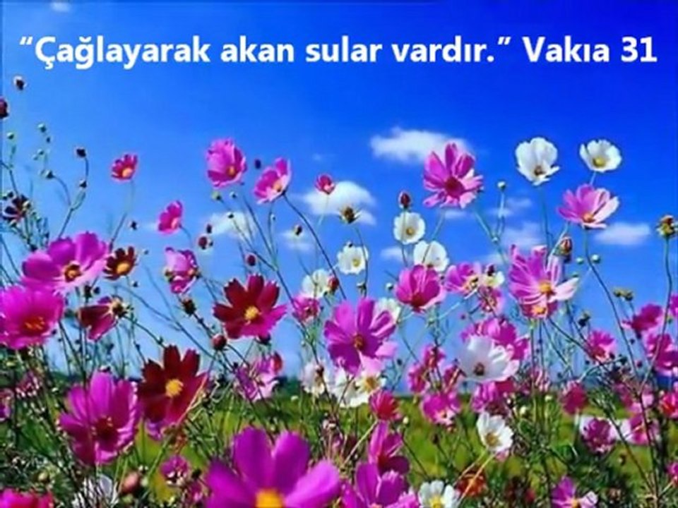 Harika Eser AYET ve HADİS IŞIĞINDA CENNET