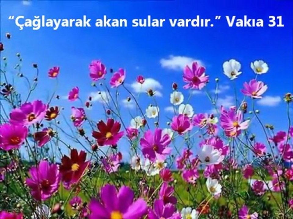 MUHTEŞEM İLAHİ AYET ve HADİS IŞIĞINDA CENNET