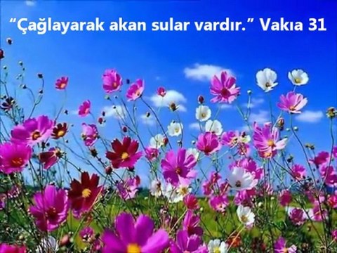 MUHTEŞEM İLAHİ AYET ve HADİS IŞIĞINDA CENNET