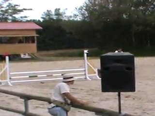 Margot et Idéal de Villette - Lamotte 2011 - P4B (2emejour)