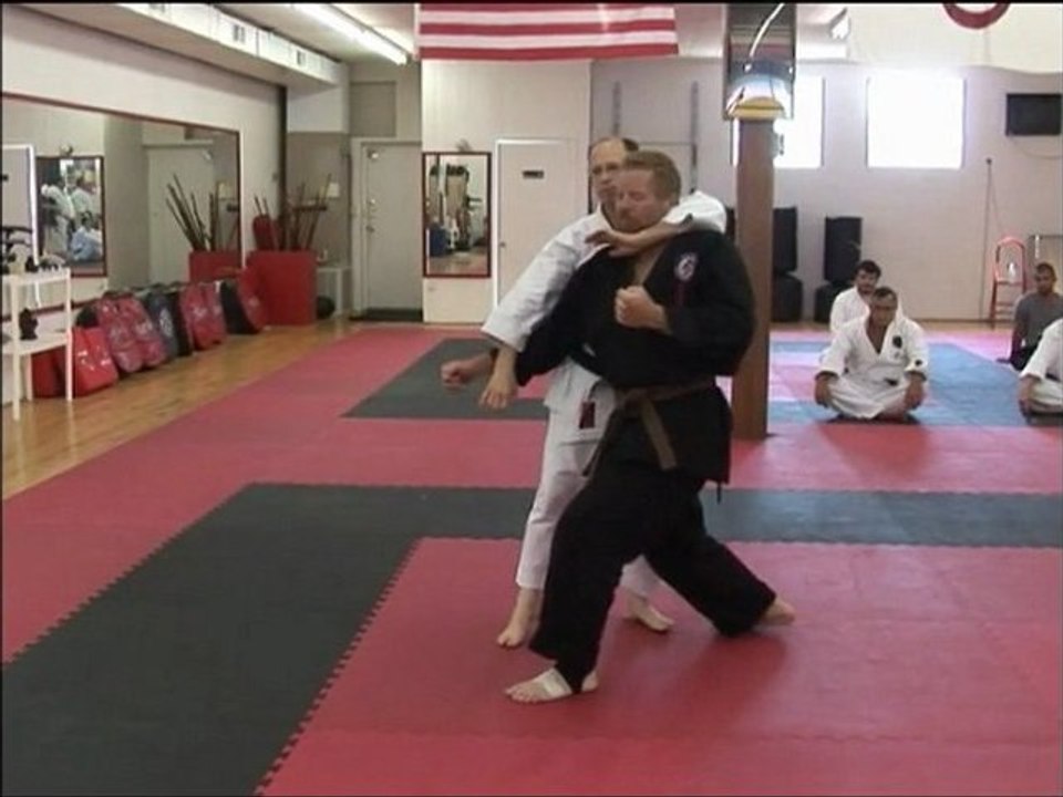 Bujutsu-Kai Workshop 2010 Otoshi Applications