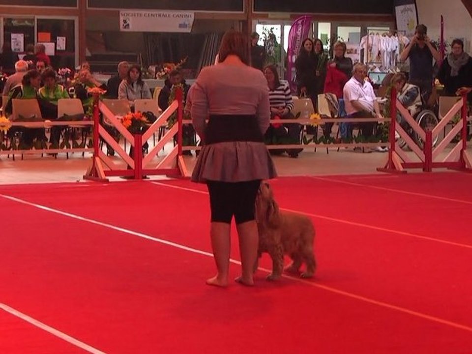 GPF 2011 toupy