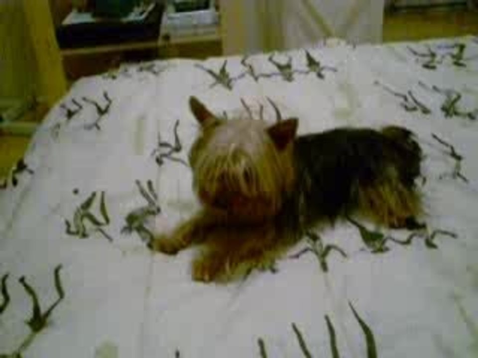 Winnie