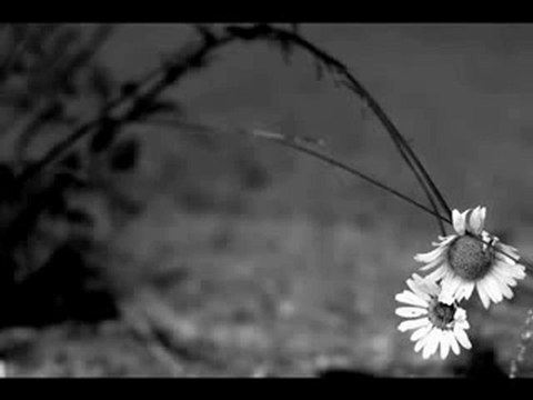 Ağlatma Gelem Oğuz Aksaç